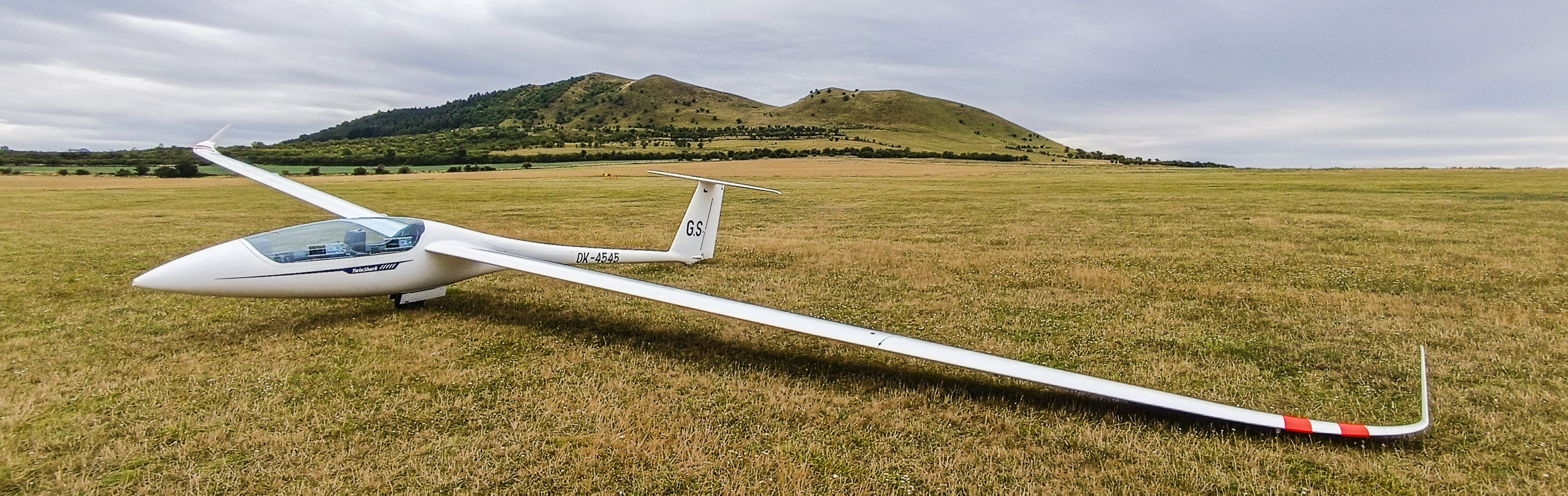 Twin Shark Glider